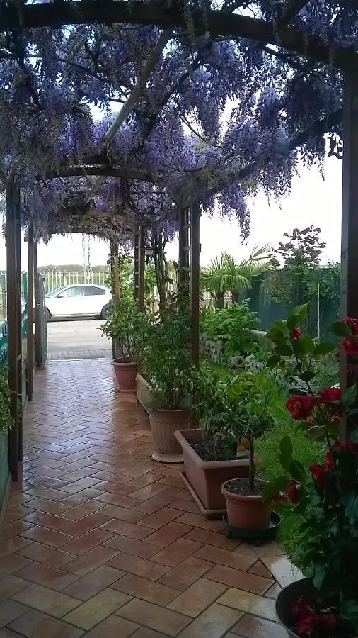 B&B Villa Sartori Isola della Scala Bed & Breakfast